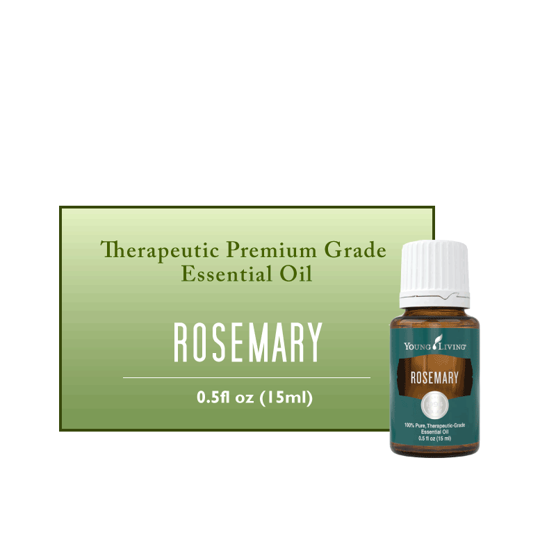 YL Rosemary Essential Oil - Biosense Clinic