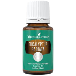 YL Eucalyptus Radiata Essential Oil - Biosense Clinic